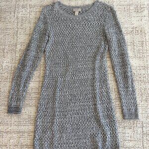 Loft Winter Dress